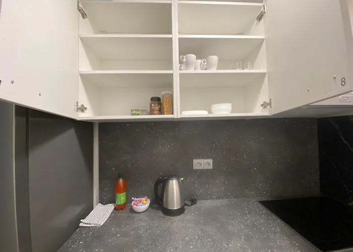 Single Jilova - Styrice Apartmán
